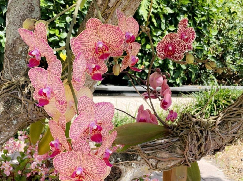 8880 N Sea Oaks Way 306