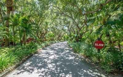 1440 Winding Oaks Circle W A204