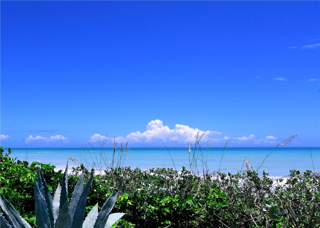 8840 S Sea Oaks Way 101