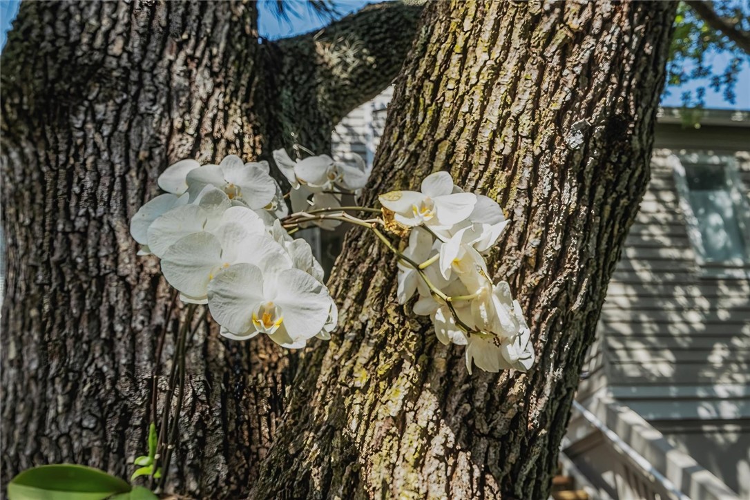 1235 Winding Oaks Circle E 505