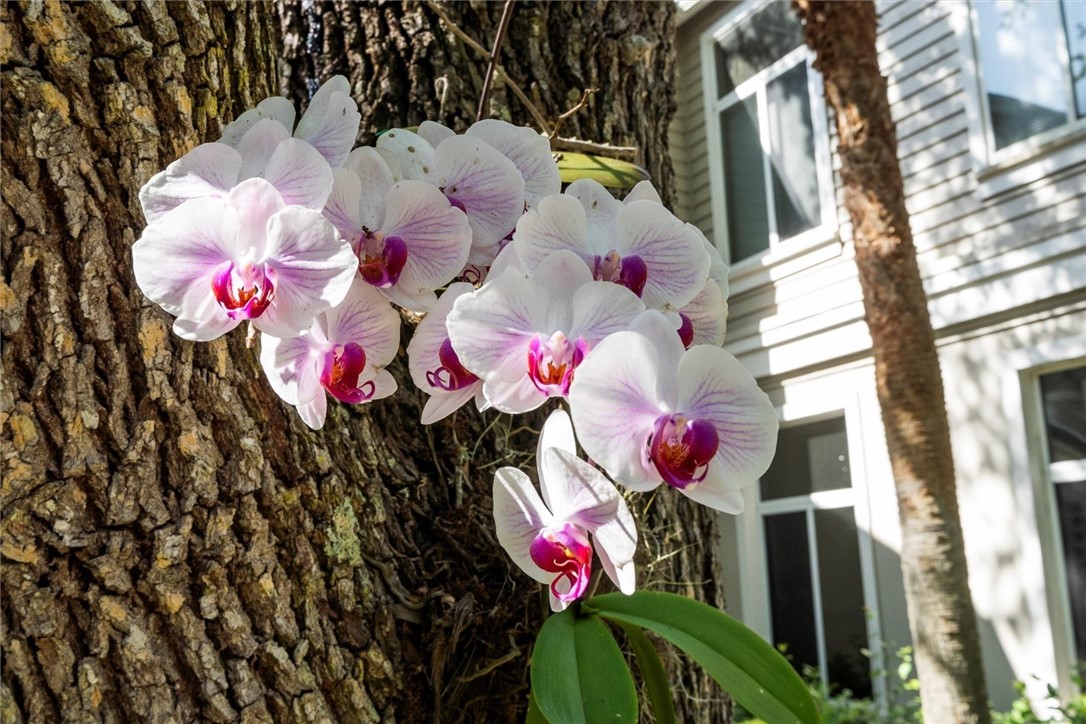 1235 Winding Oaks Circle E 503