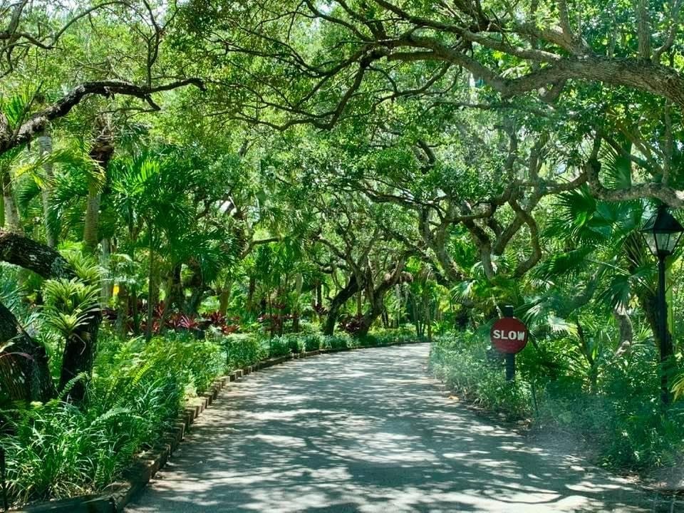 1235 Winding Oaks Circle E 503