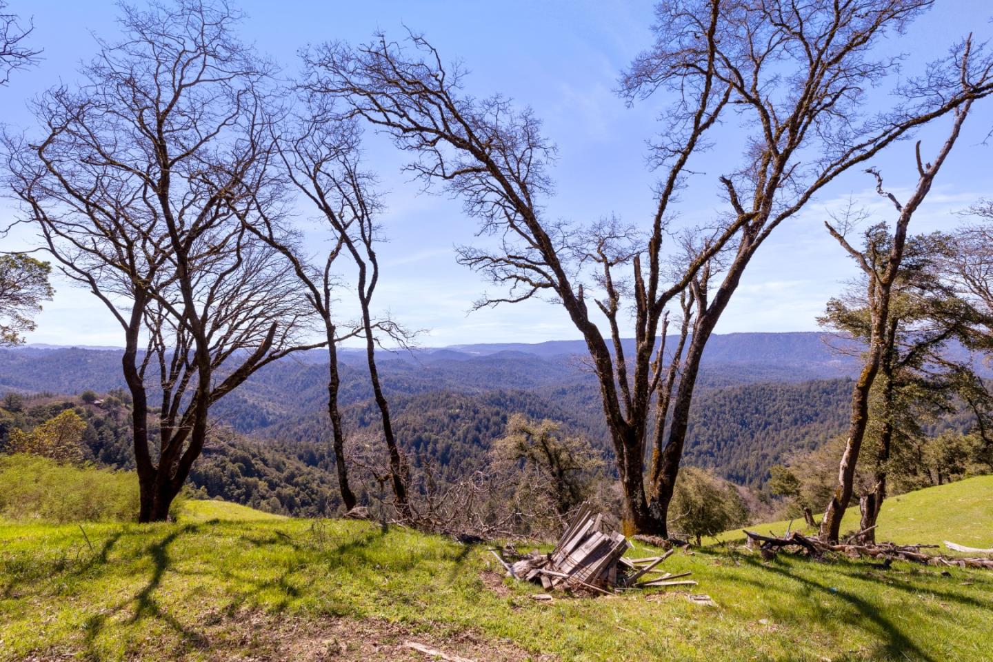 20129 Beatty Ridge RD