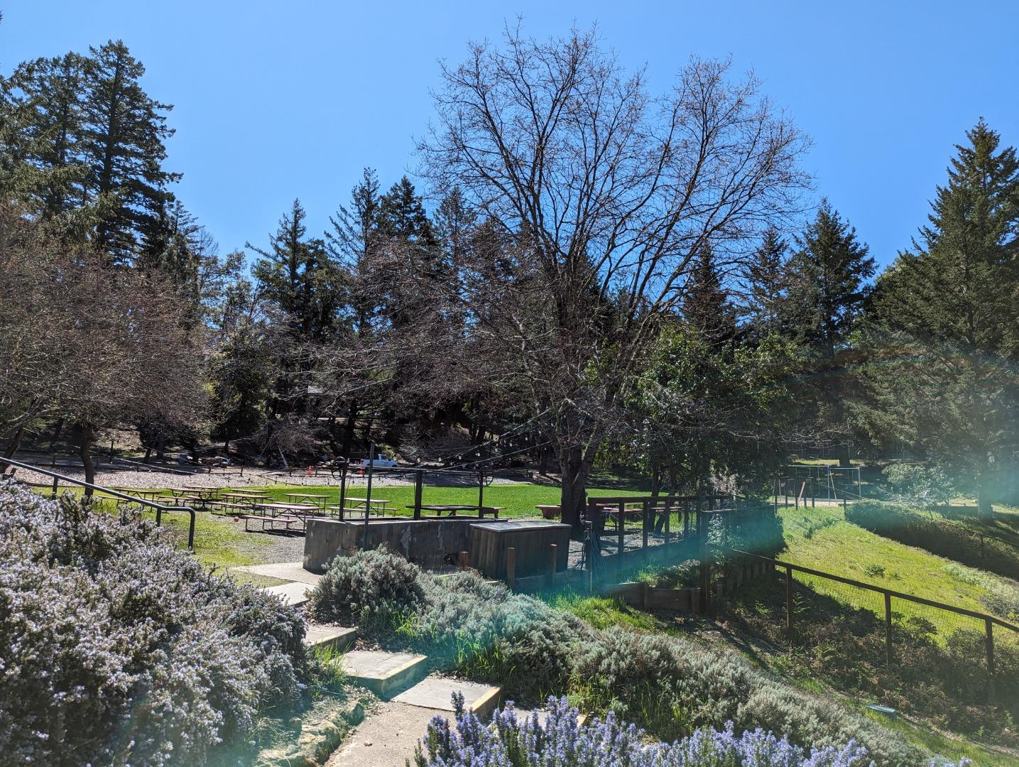 20129 Beatty Ridge RD