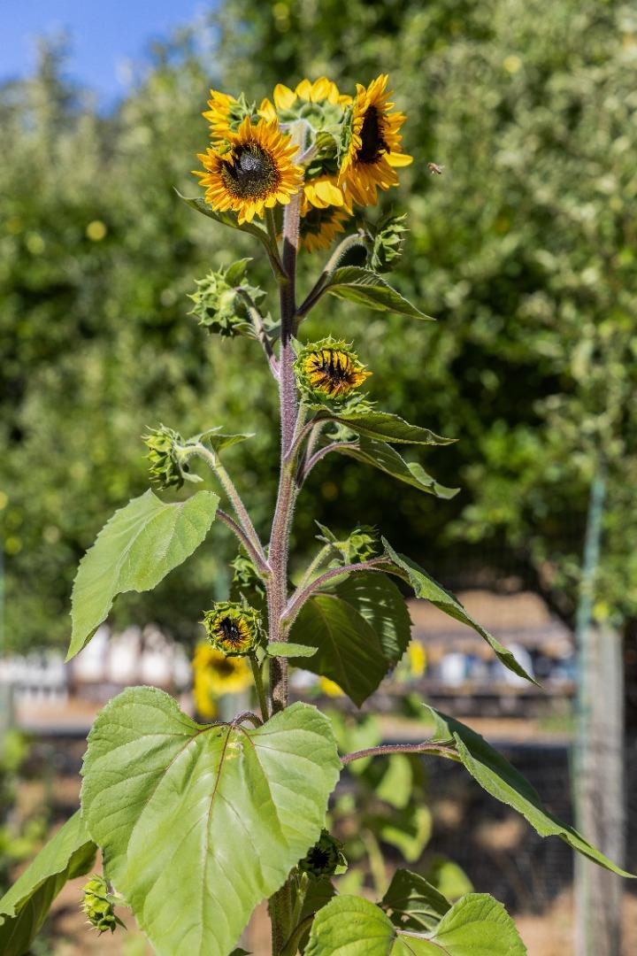 19156 Old Vineyard Road