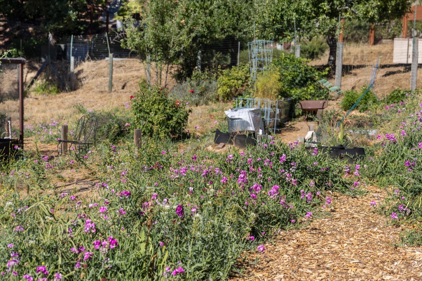 19156 Old Vineyard Road