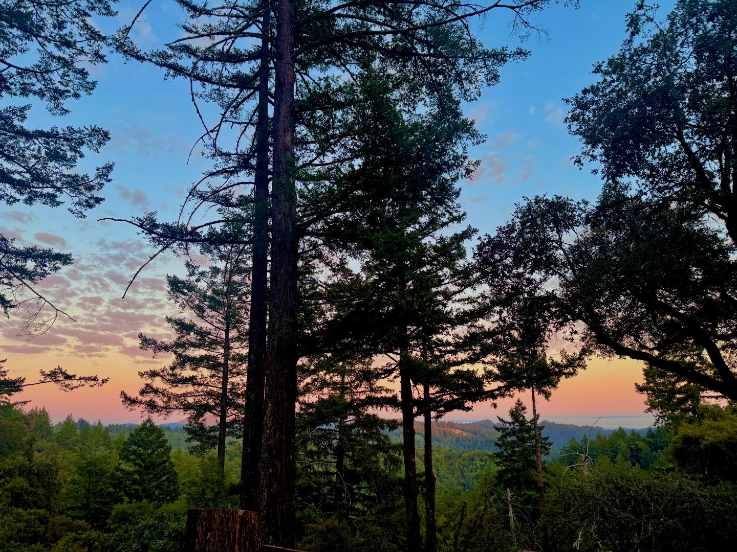 19156 Old Vineyard Road