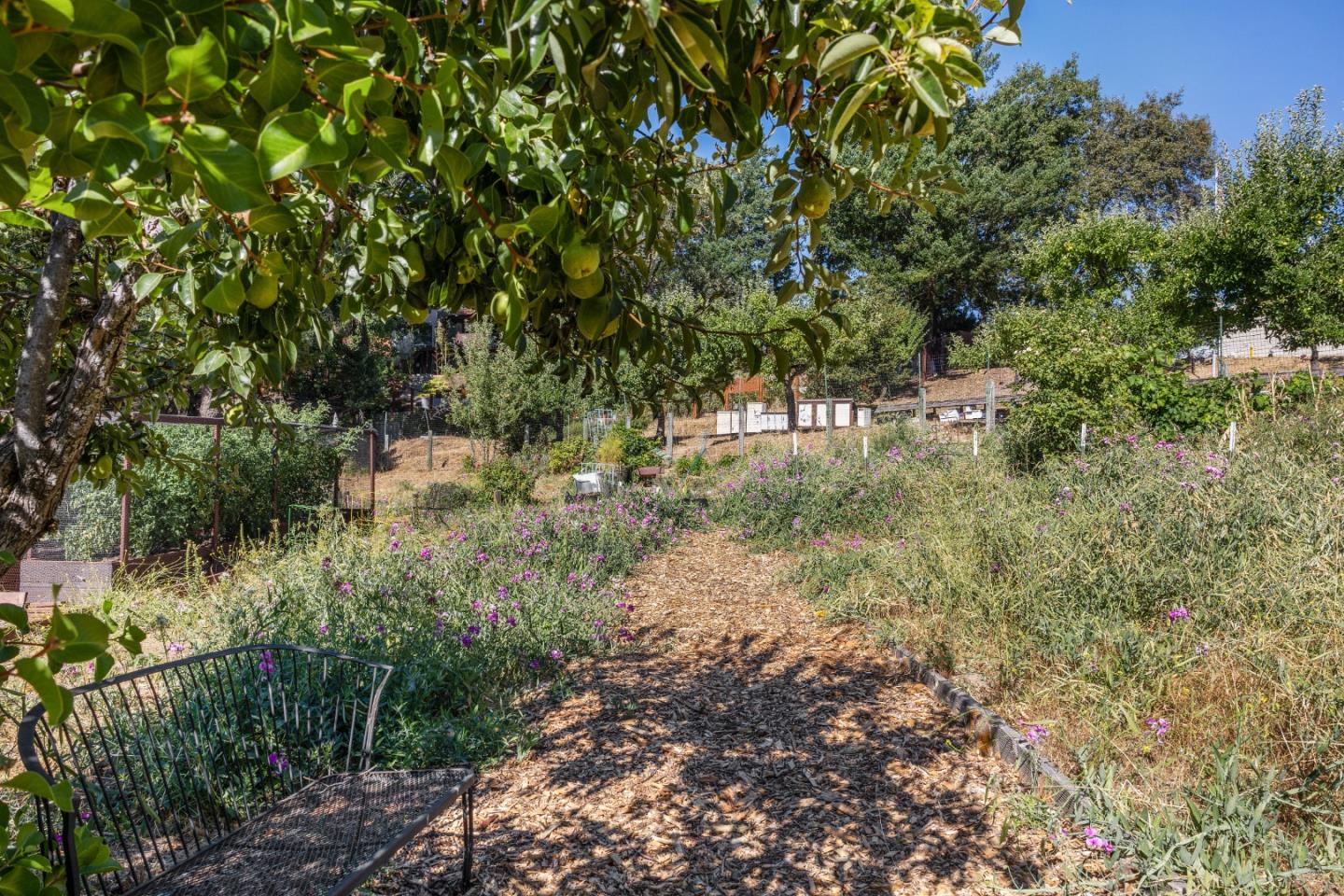 19156 Old Vineyard Road