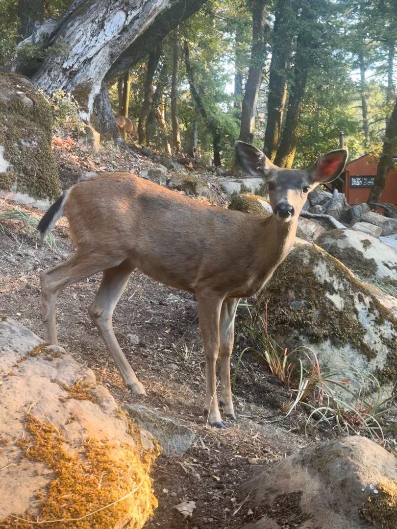 19156 Old Vineyard Road