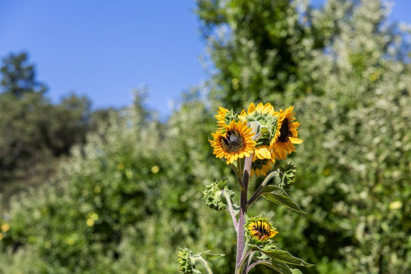 22163 Miller Ridge Road