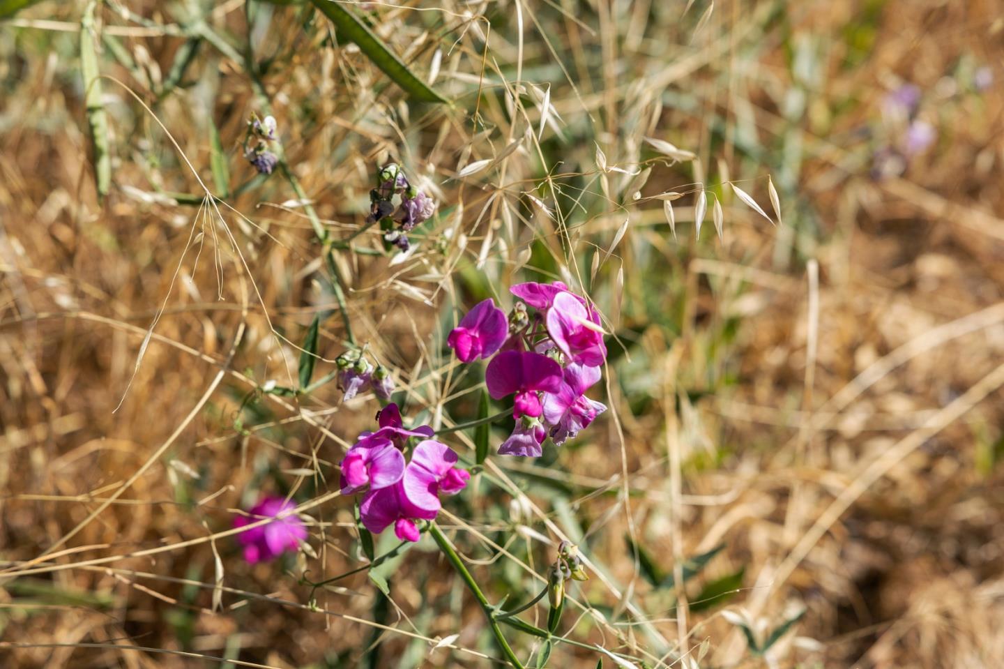 22163 Miller Ridge Road