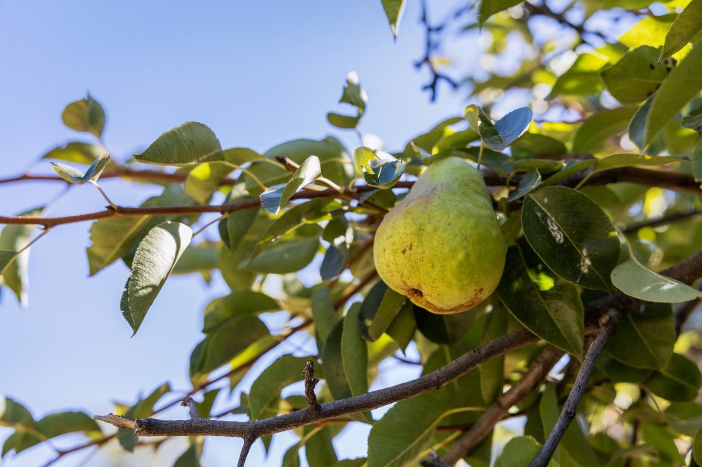 22163 Miller Ridge Road