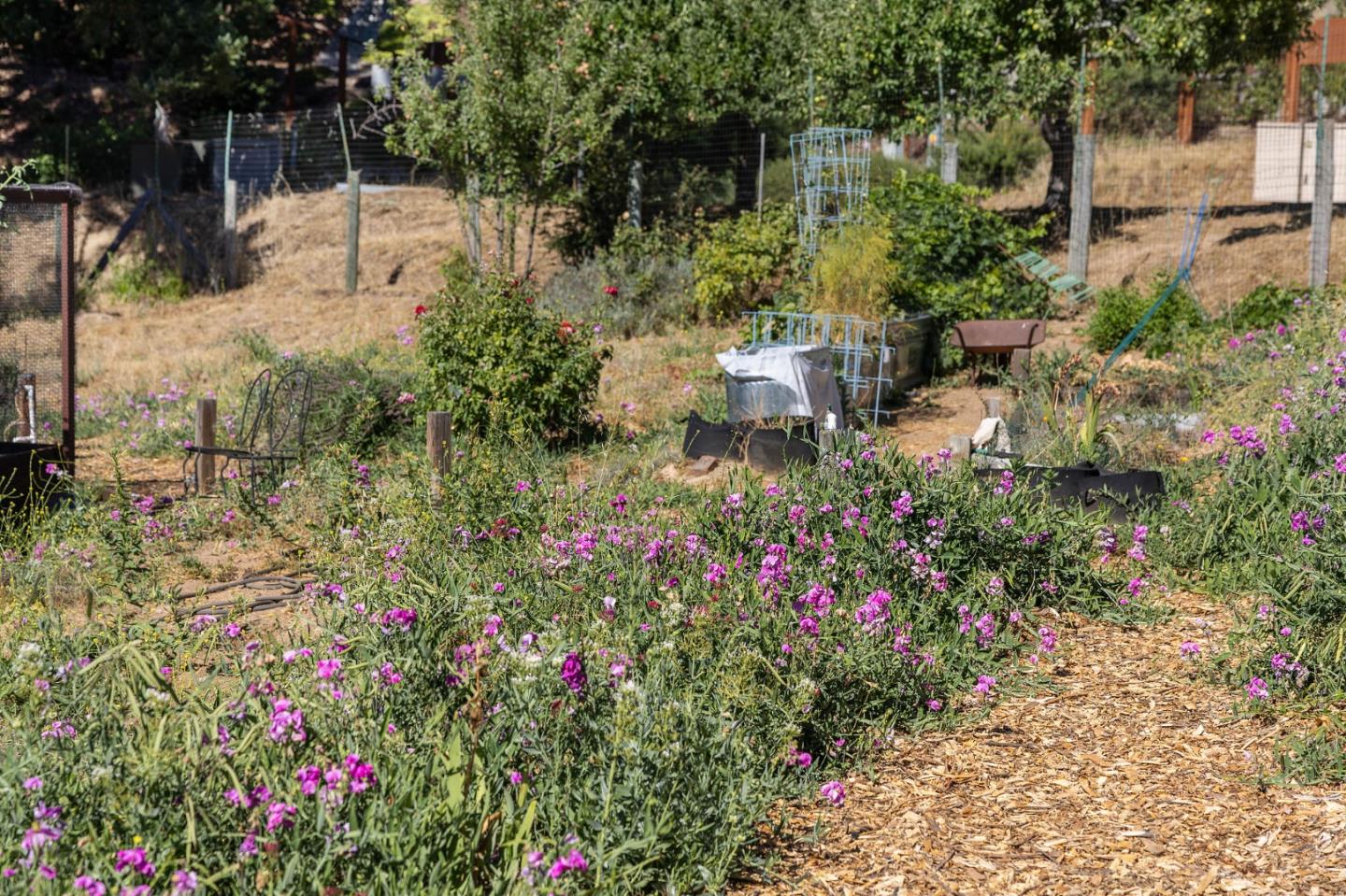 22163 Miller Ridge Road