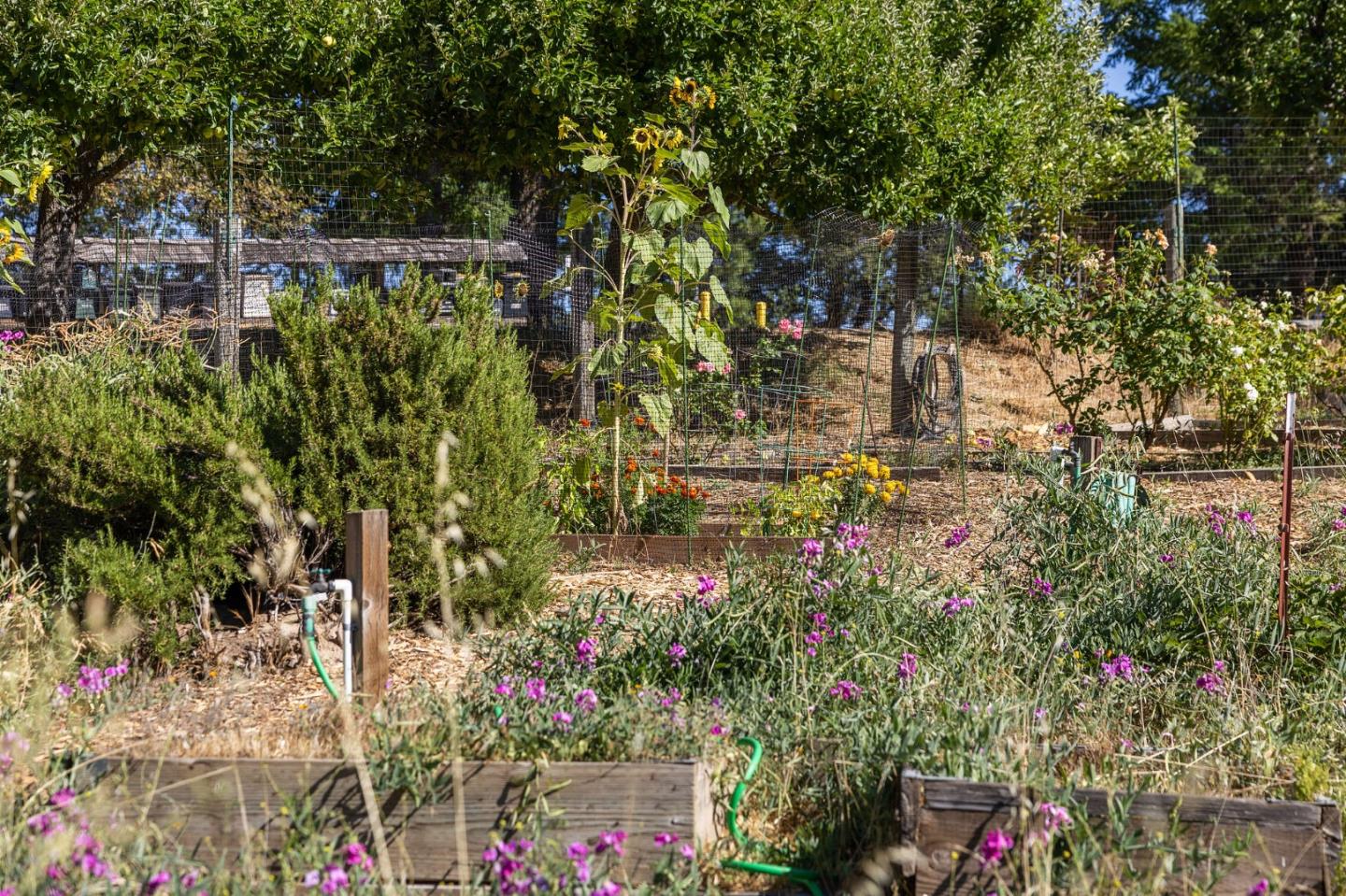 22163 Miller Ridge Road