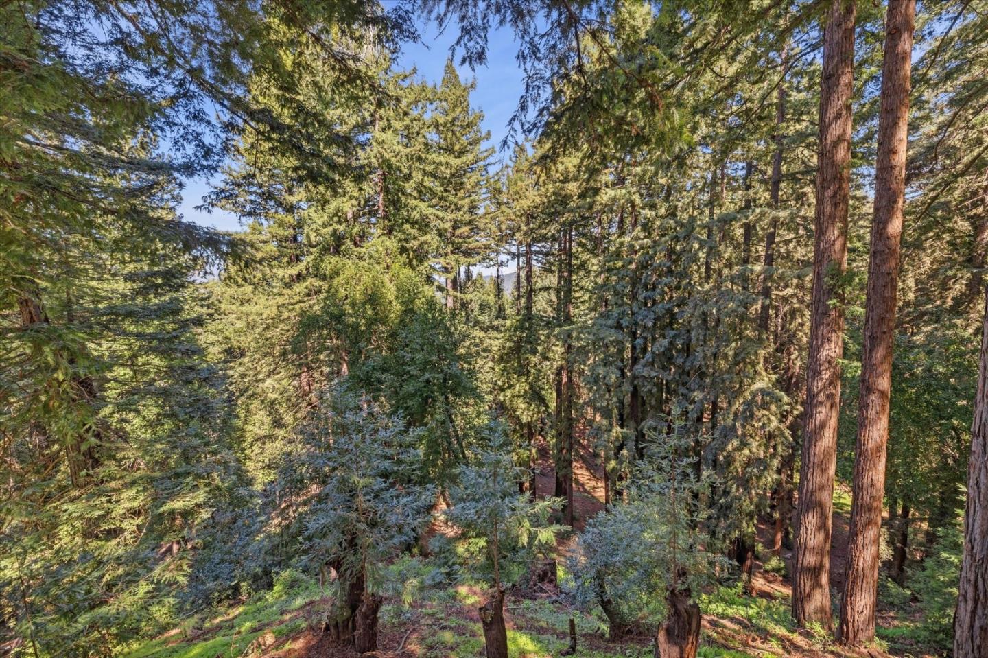 18081 Redwood Drive