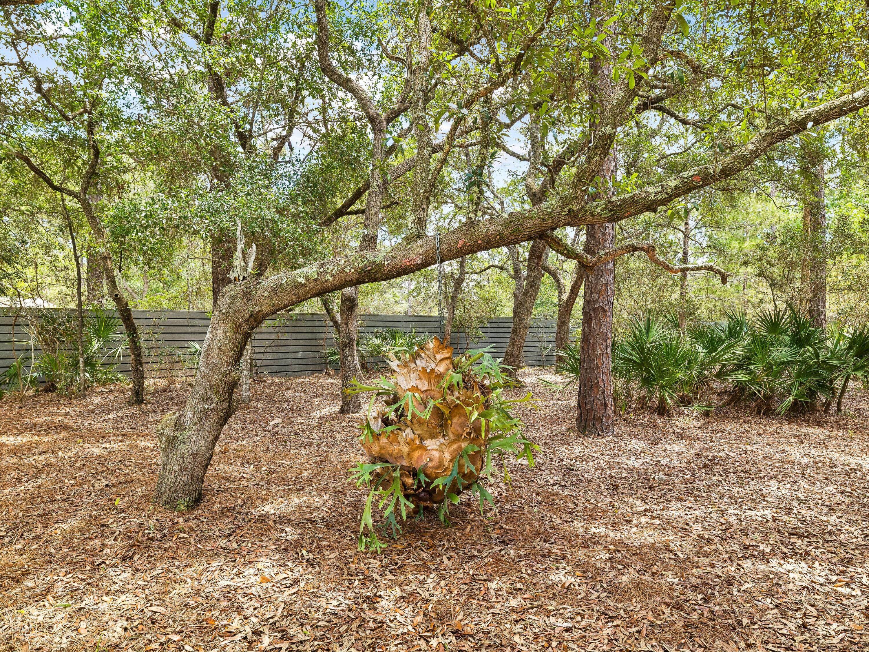 43 Fern Cove