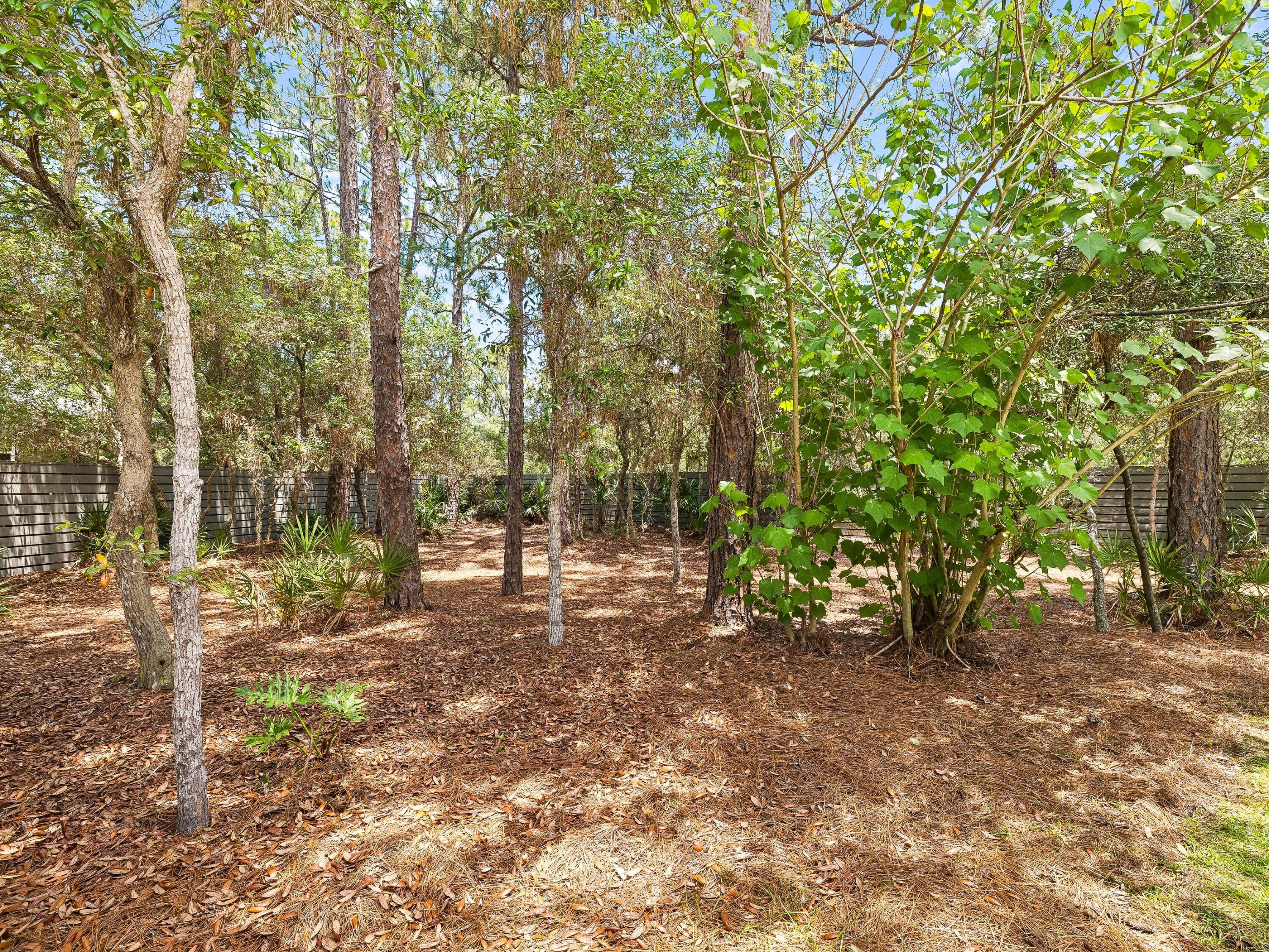 43 Fern Cove