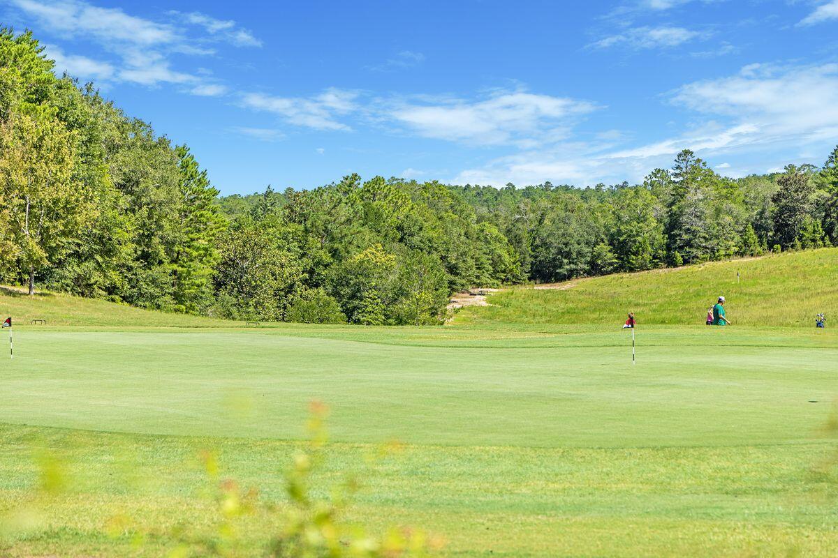 108 Blackstone Lane, DeFuniak Springs