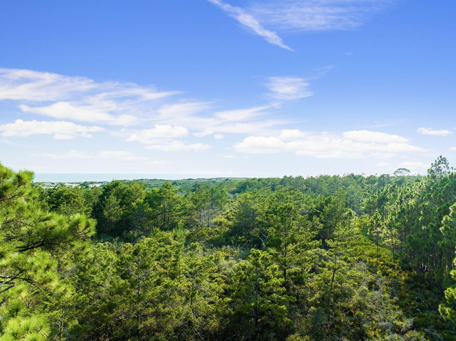 Lots 12&13 Loon Lake Drive