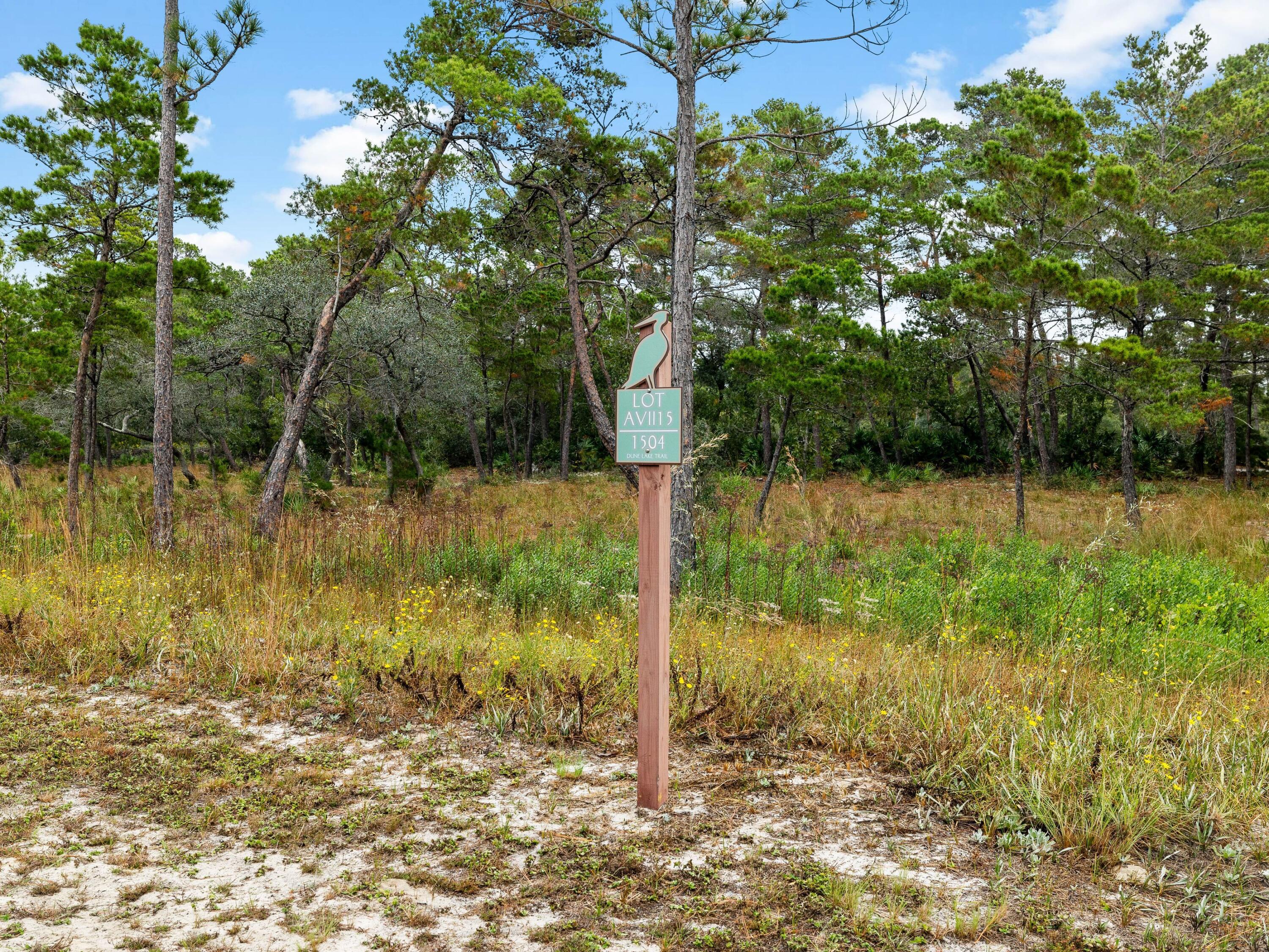 1504 Dune Lake Trail