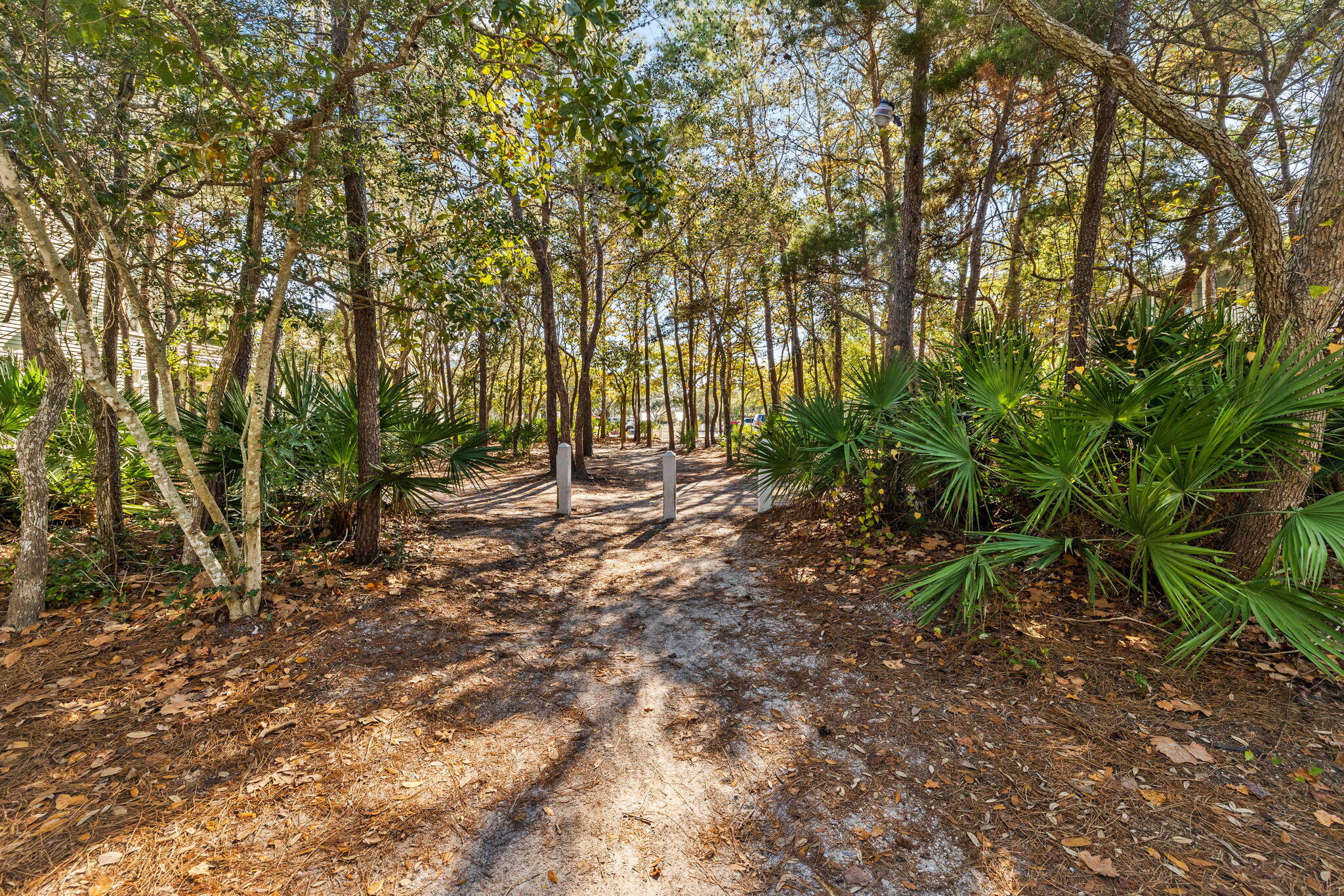 12 Viridian Park Drive