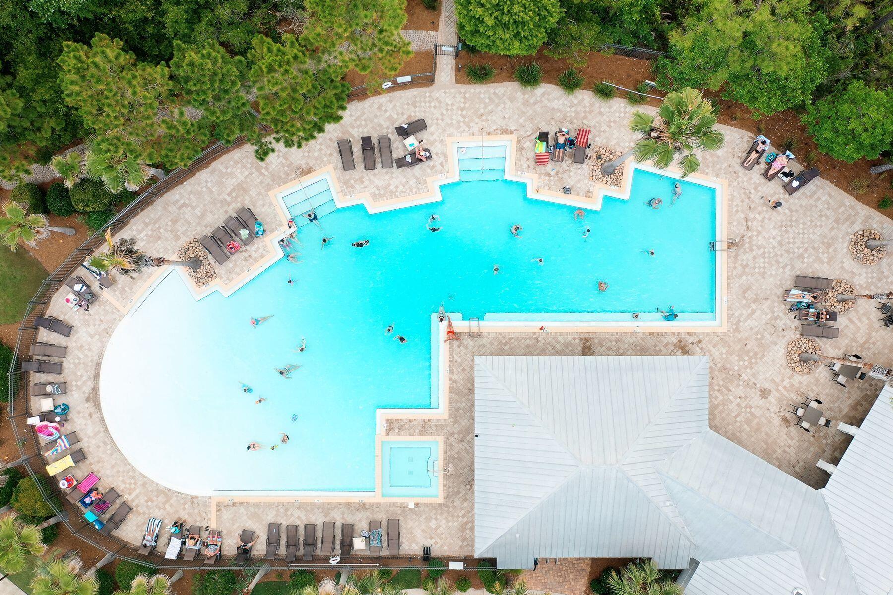 35 Flatwoods Forest Loop