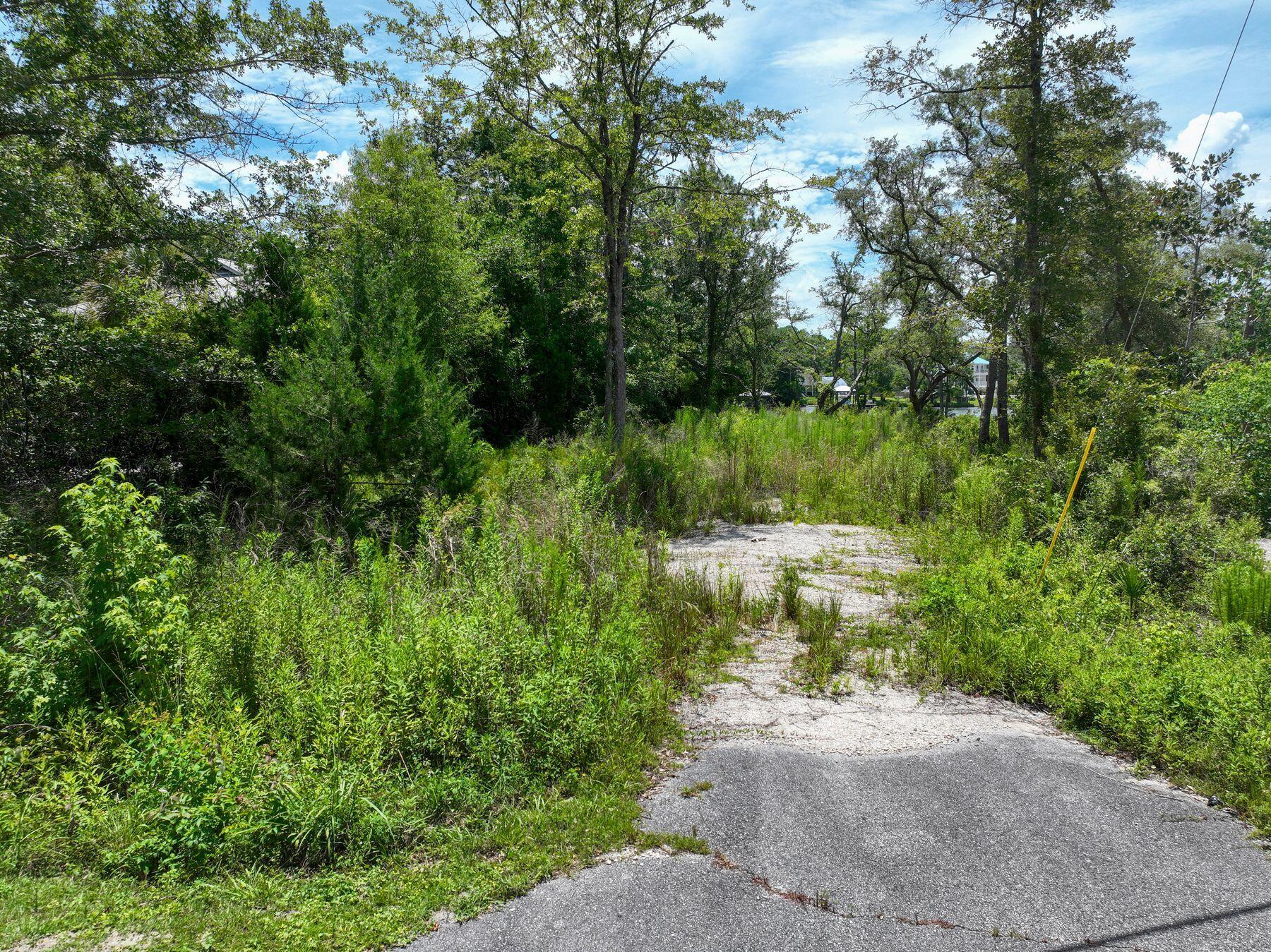 Lot 4 E Bayou Forest Drive