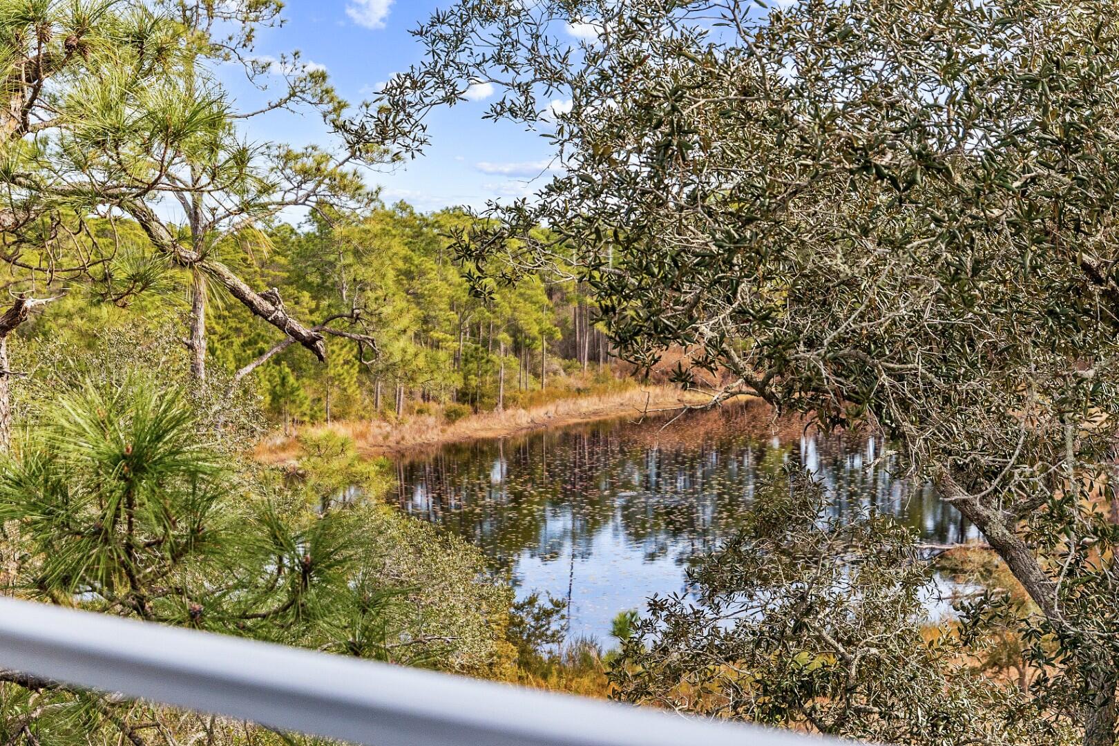 23 Spotted Dolphin Road, Santa Rosa Beach
