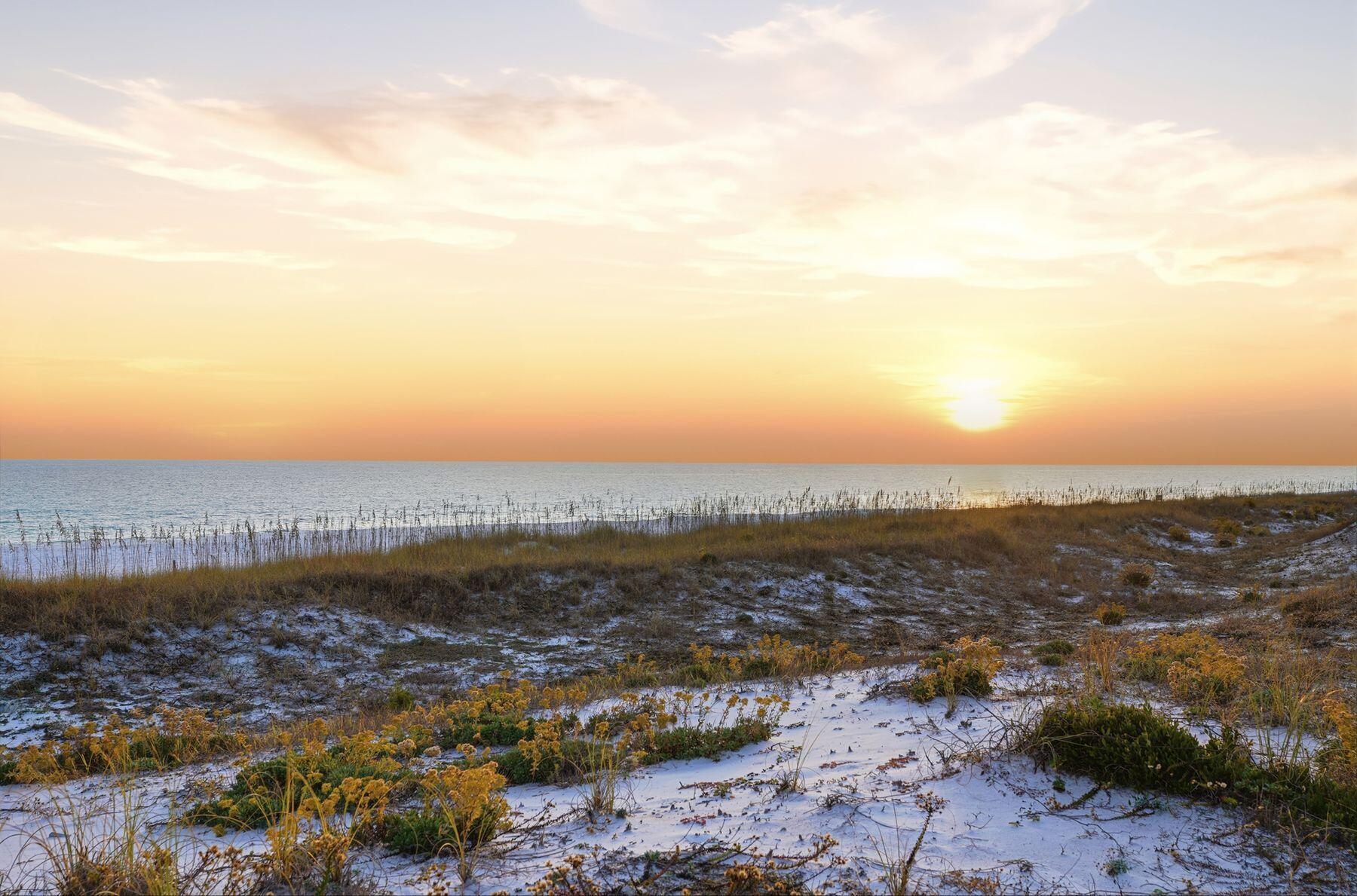 4203 Indian Bayou Trail 1702