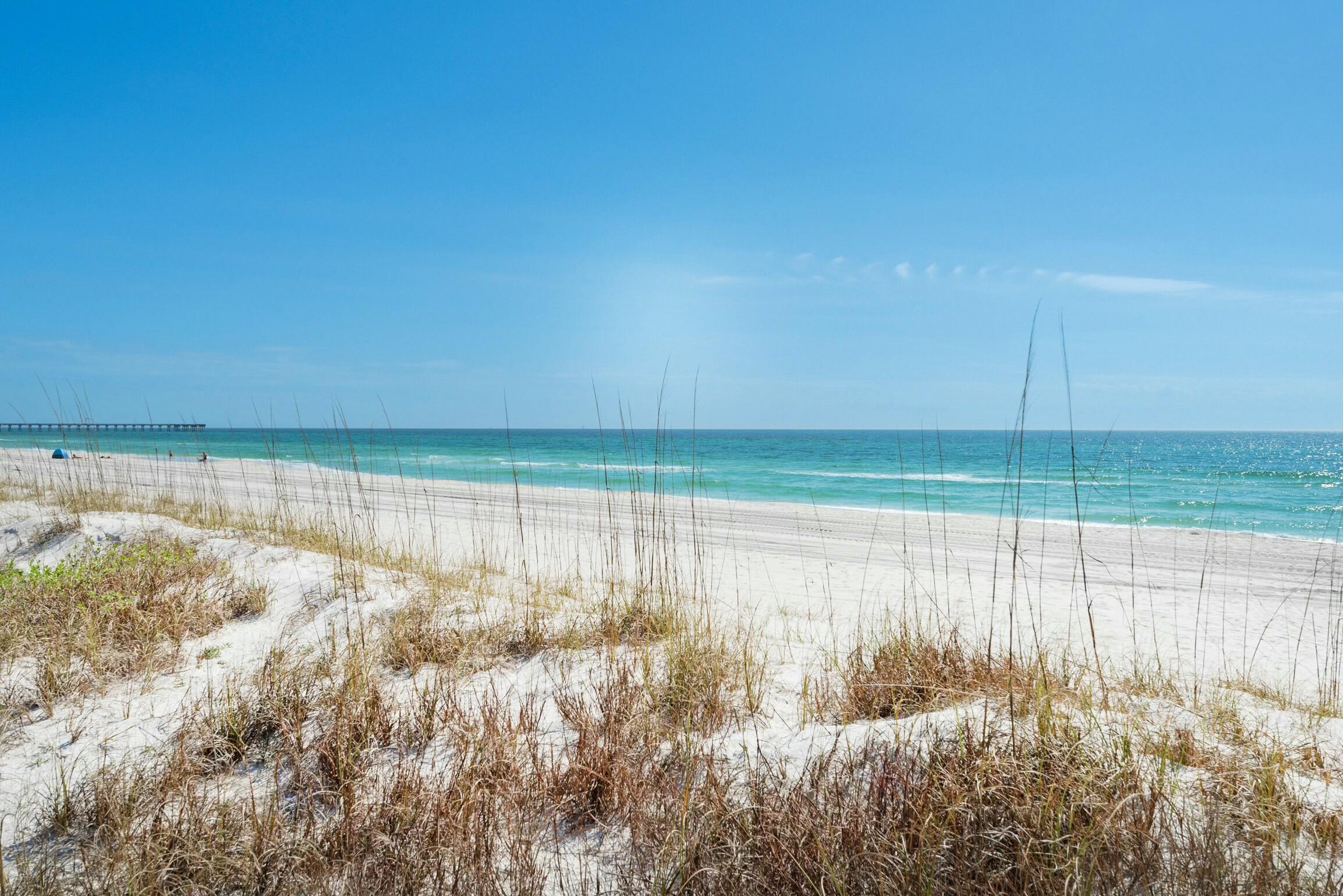 605 Dogwood Street A B C D