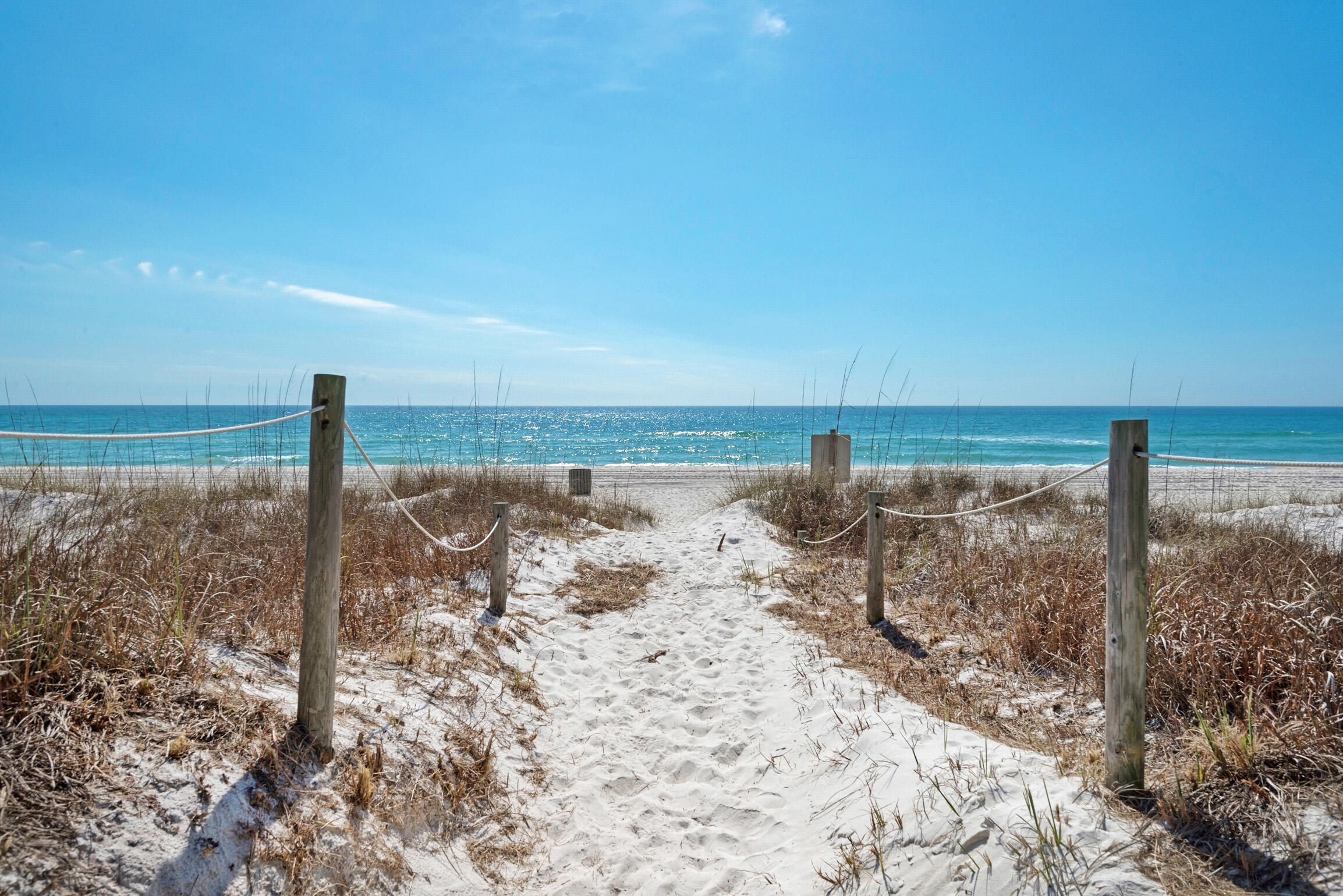 605 Dogwood Street A B C D