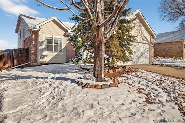 4252 S Ireland Court