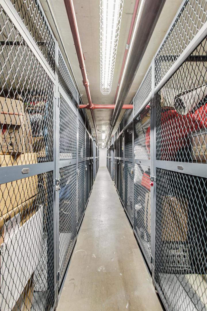 155 N Harbor Drive Unit: 3213