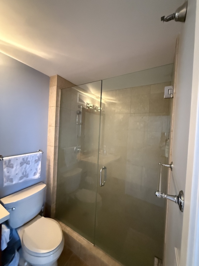 401 E Ontario Street Unit: 4504