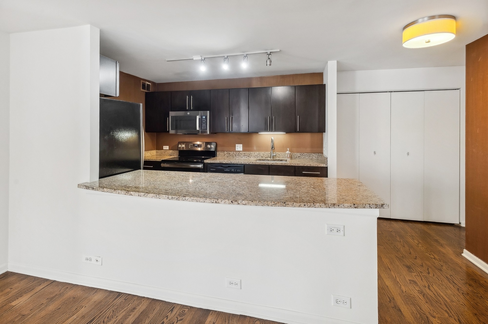 222 E PEARSON Street Unit: 1609