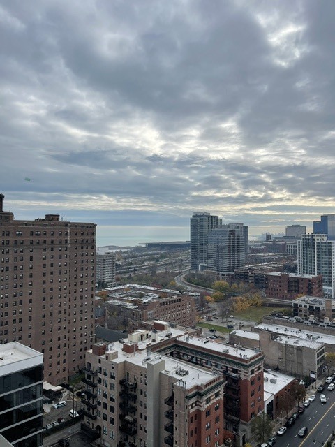 1400 S Michigan Avenue Unit: 2308