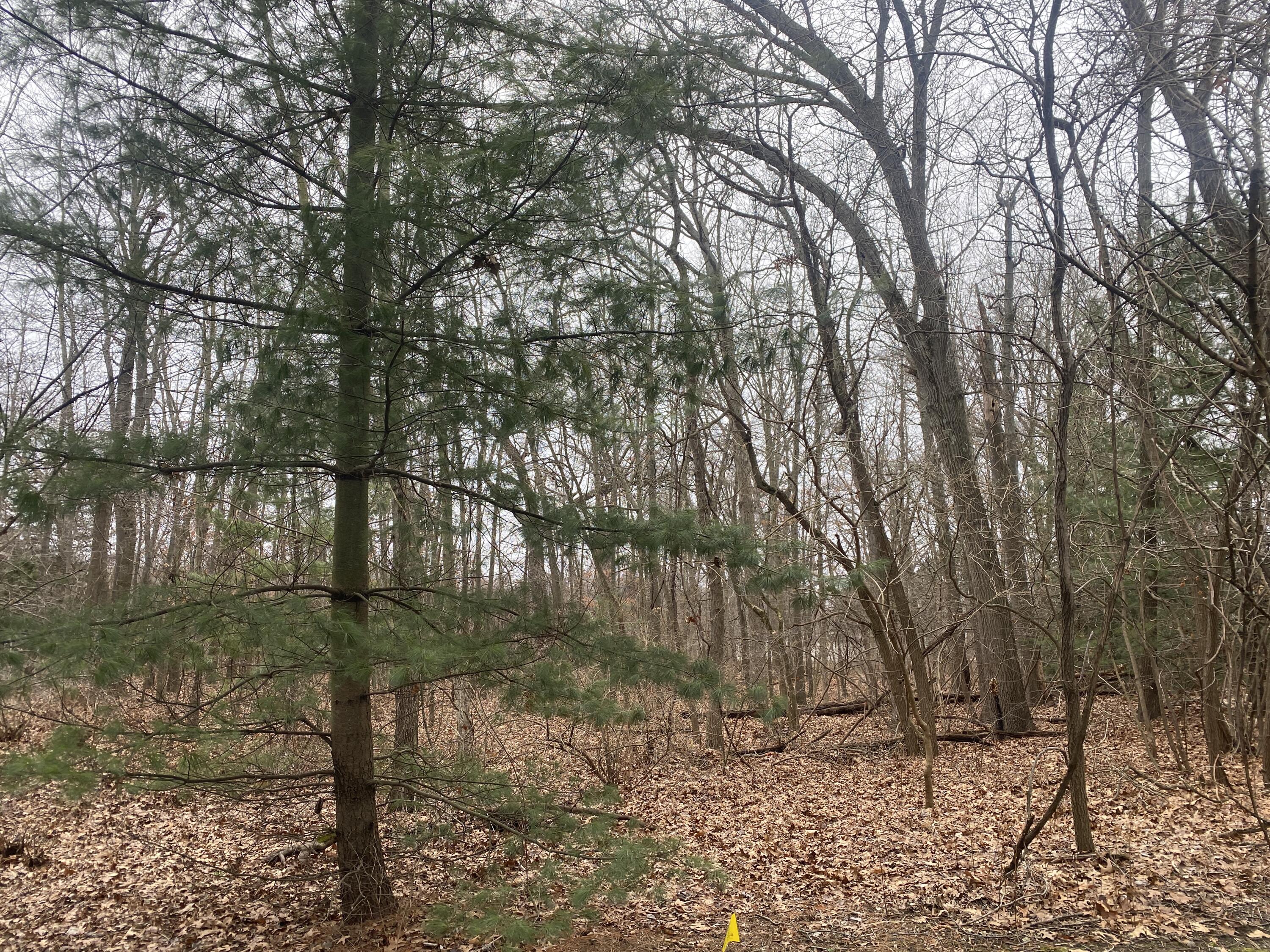 18657 Forest Beach Drive