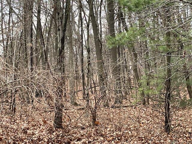 18655 Forest Beach Drive