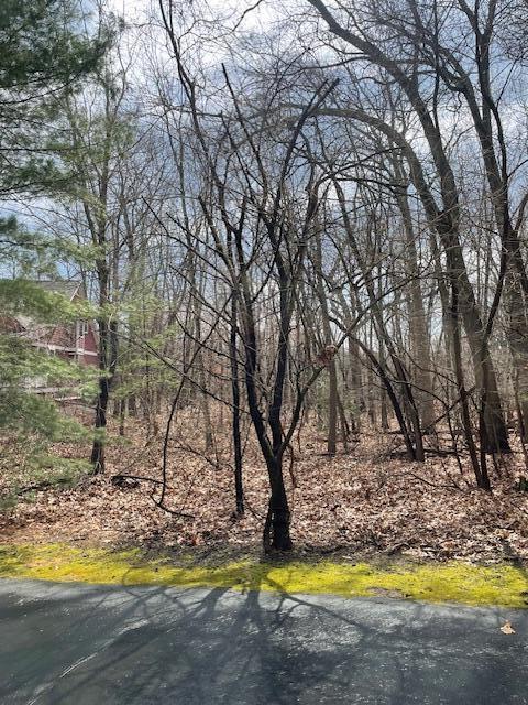 18655 Forest Beach Drive