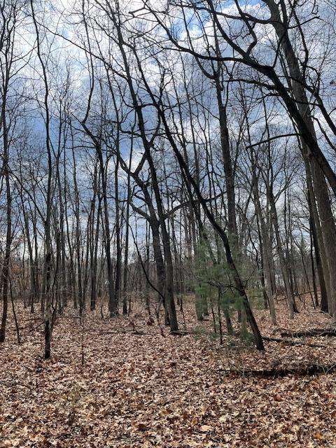 18655 Forest Beach Drive