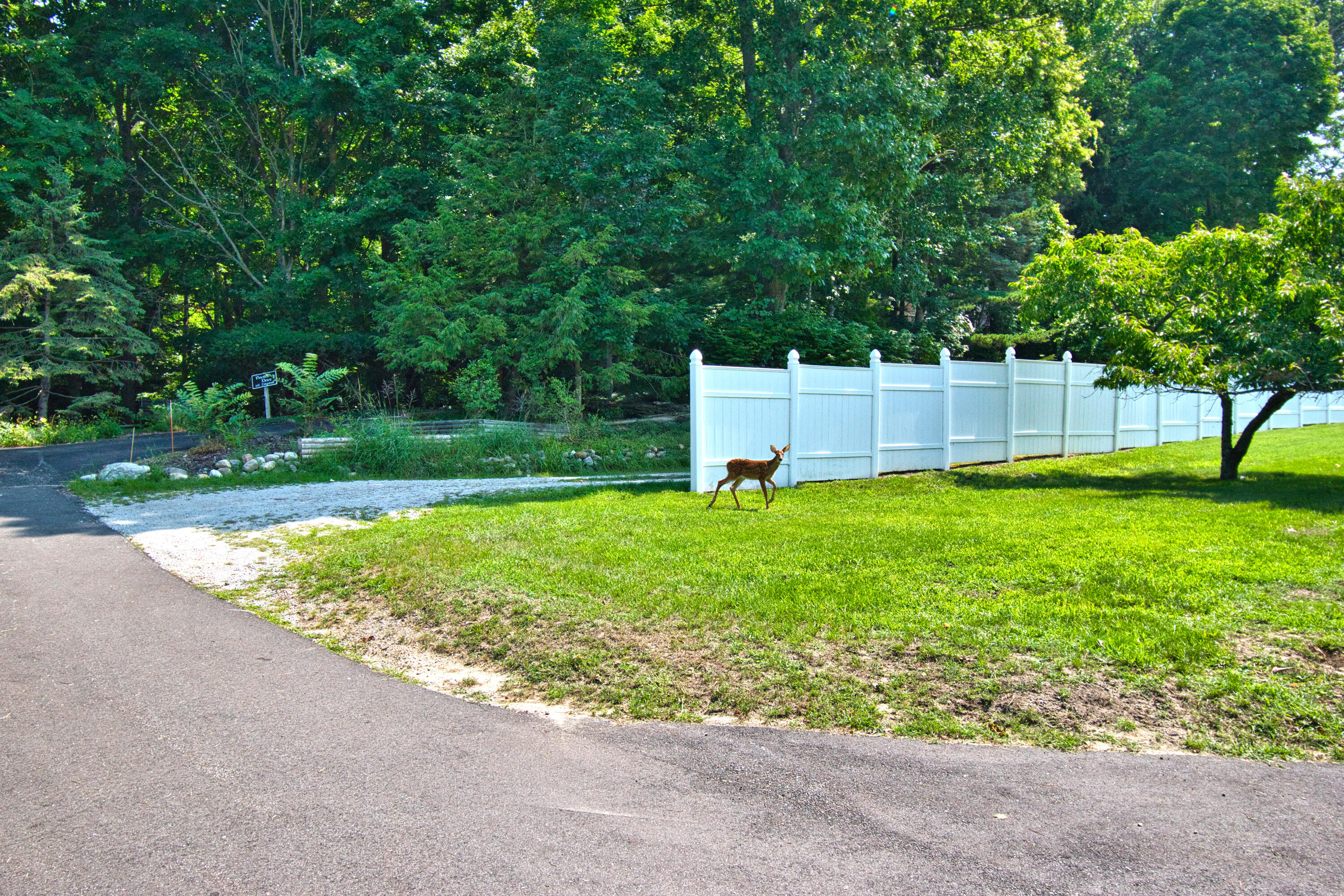 641 Longwood Drive N