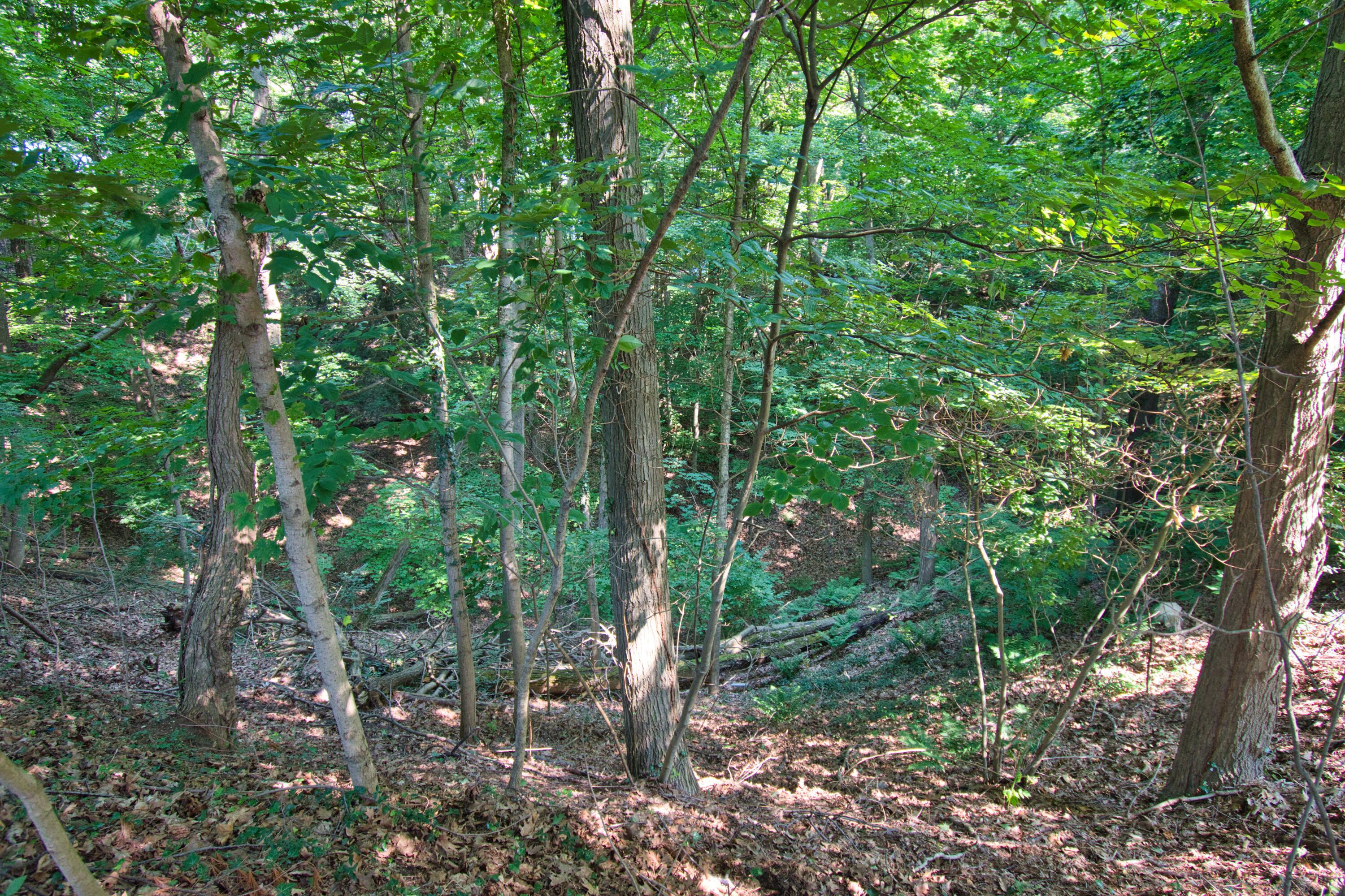 641 Longwood Drive N