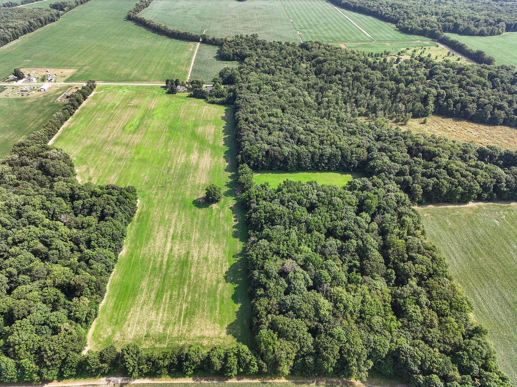 6475 Olive Branch Road