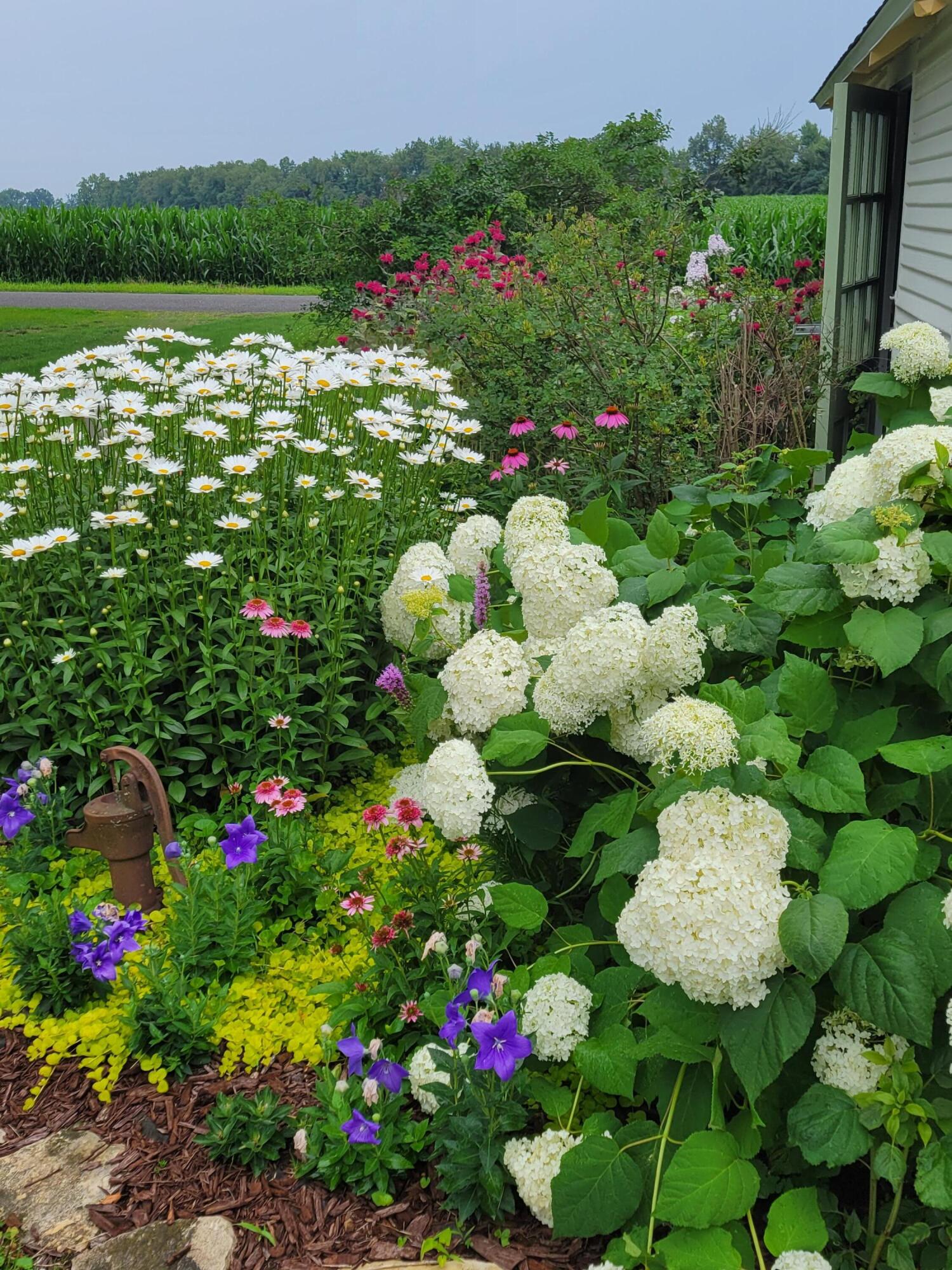 6475 Olive Branch Road