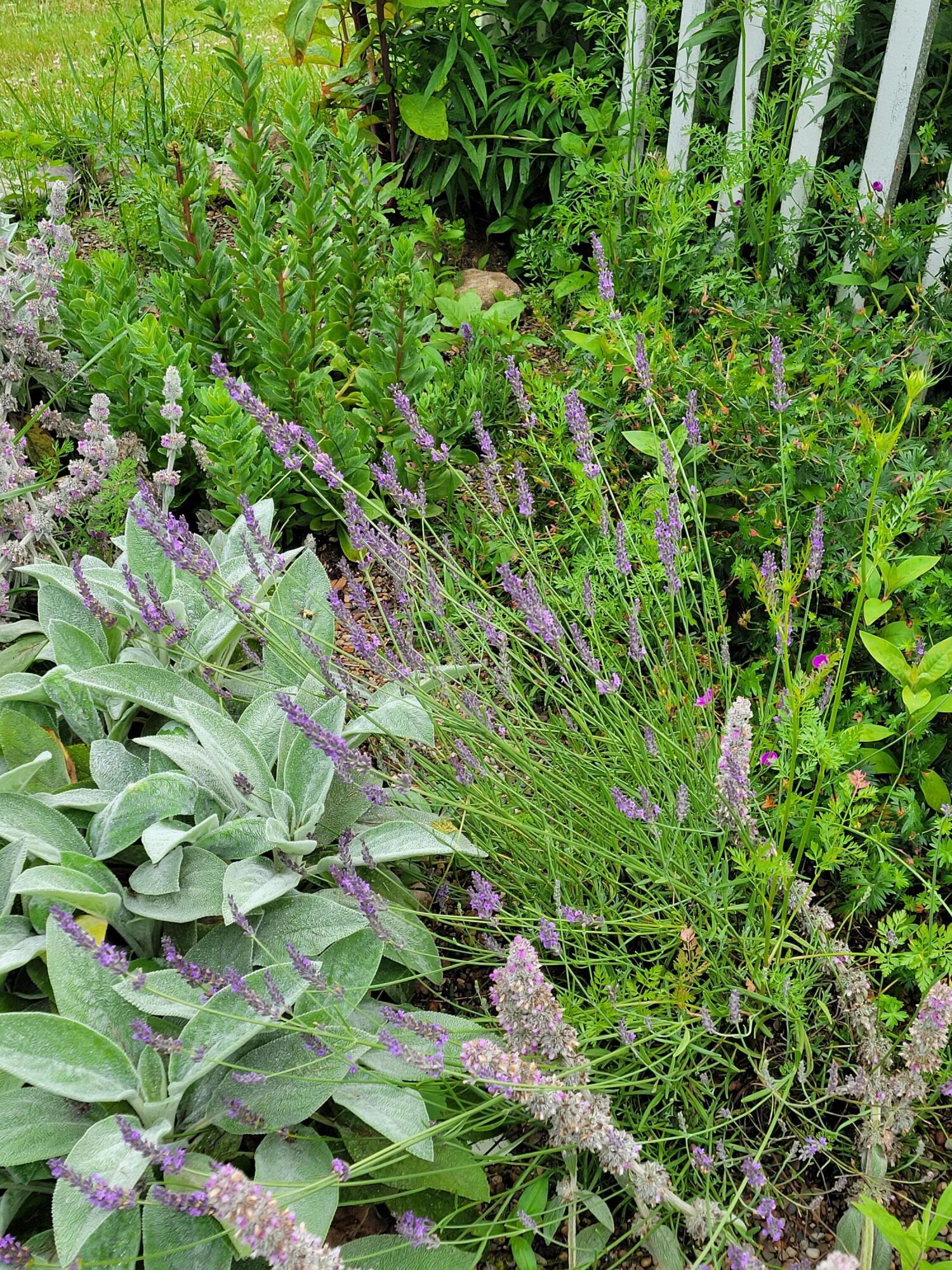 6475 Olive Branch Road