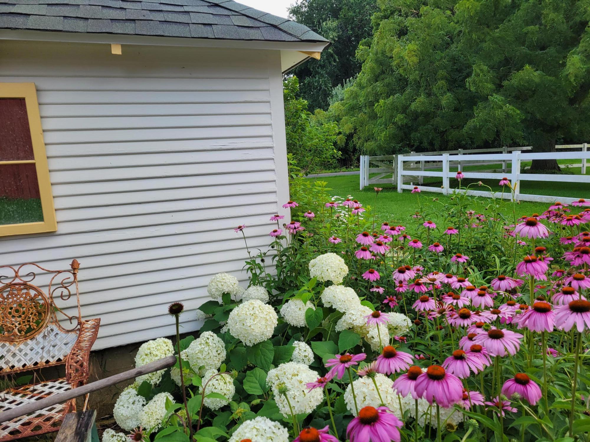 6475 Olive Branch Road