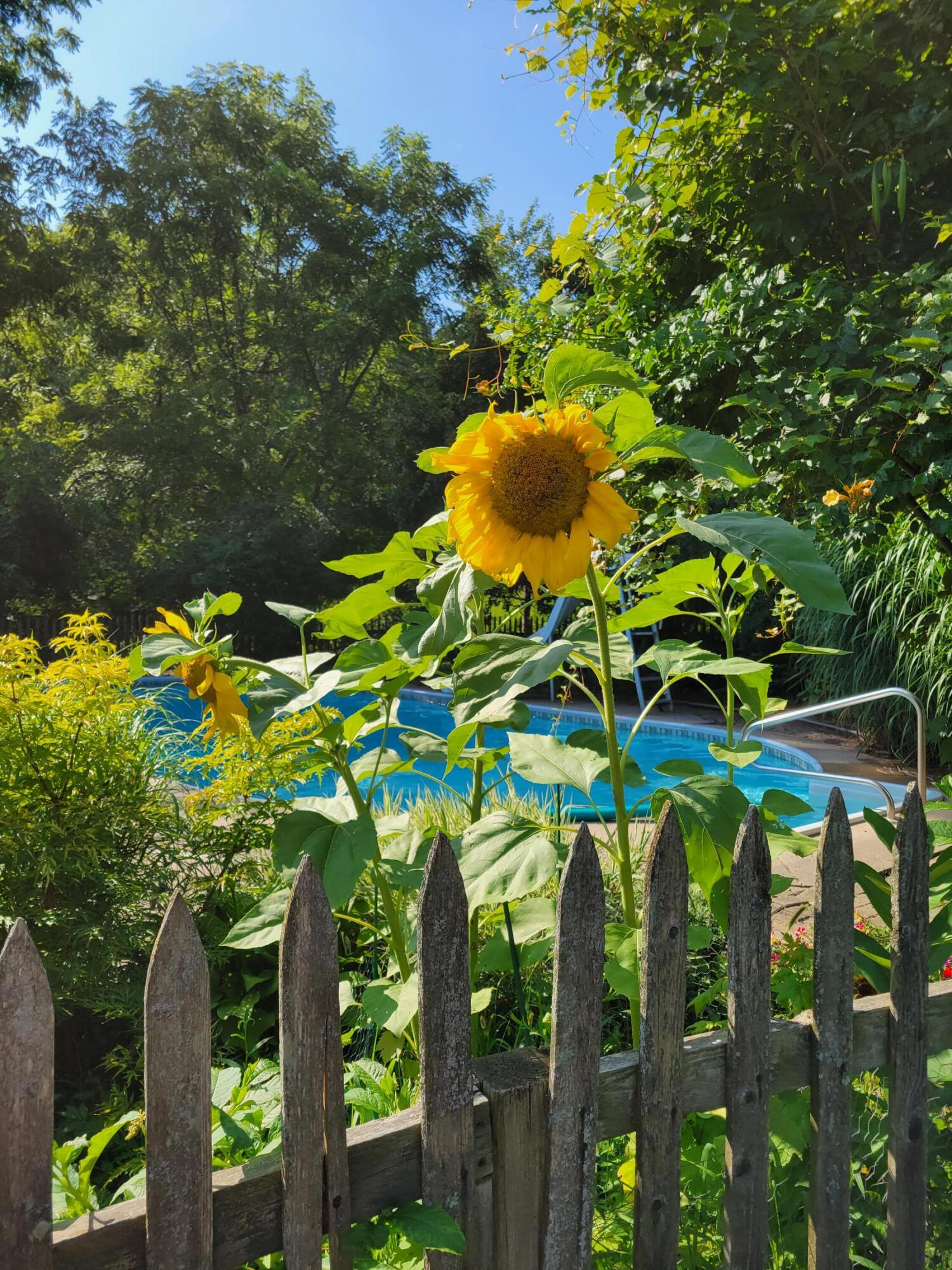 6475 Olive Branch Road