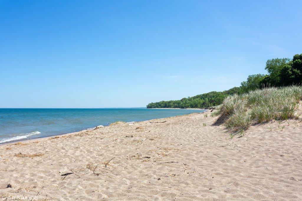 16032 Goodwin Avenue, 5