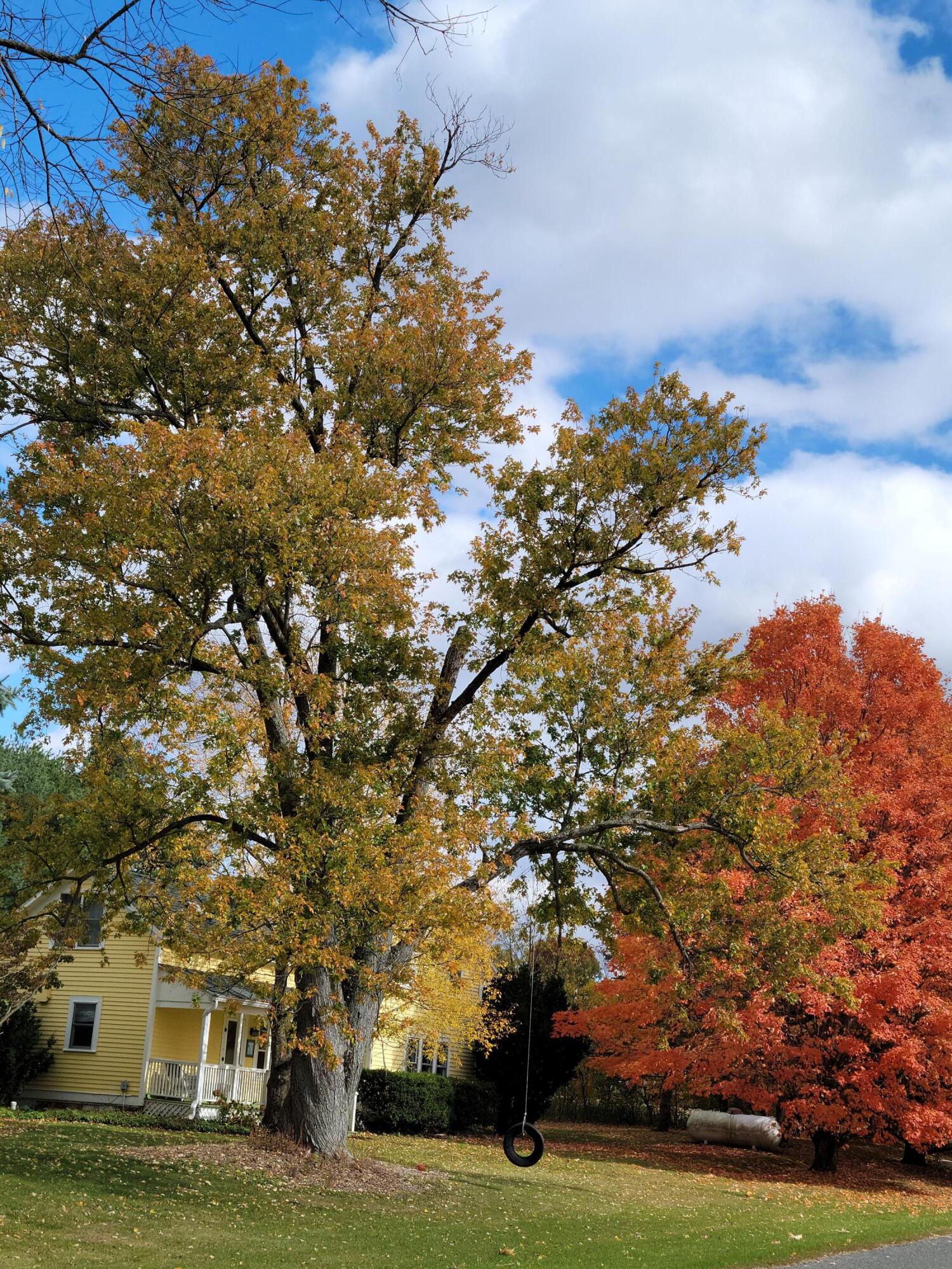 6475 Olive Branch Road