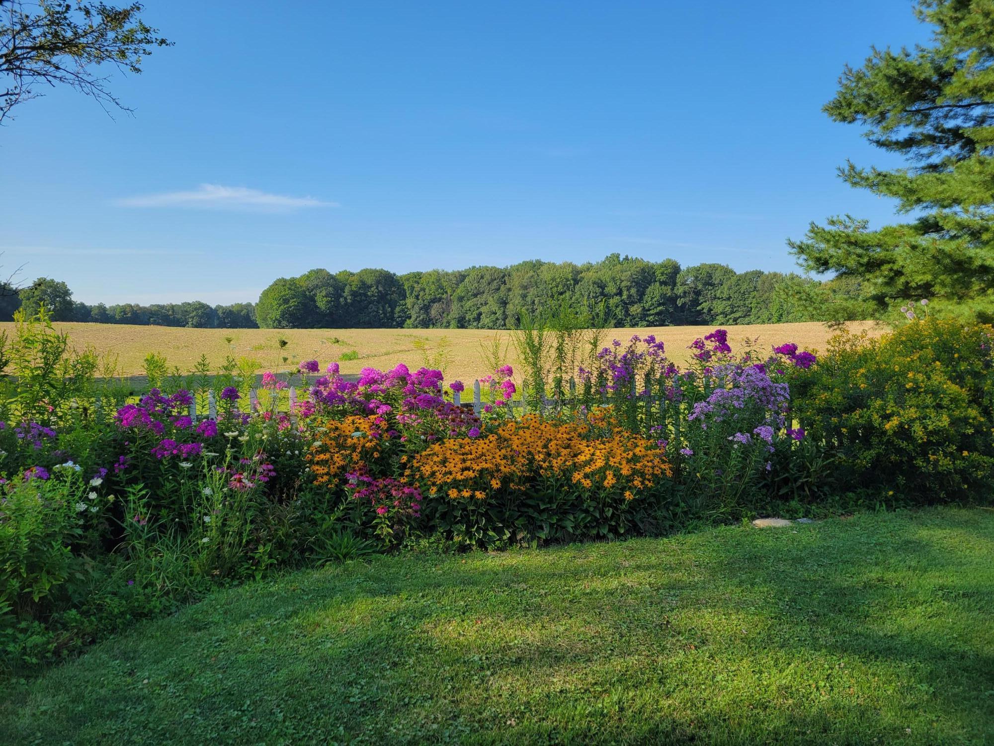 6475 Olive Branch Road